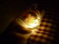 videos de Ghost Hunters Episode 1 Pt.1