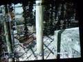 Call of Duty: World at War ( Asylum Glitch)