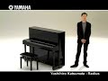 yoshihiro katsumata and the yamaha radius