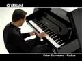 Yoshihiro Katsumata and the Yamaha Radius