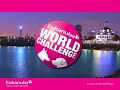 Eukanuba World Challenge: watch the champion American Cocker Eukanuba World Challenge: watch the champion American Cocker