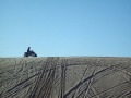 Pismo sand dunes