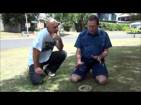 YouTube reptile video