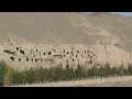 silk road,Dunhuang Mogao Caves, travel video by mickspatz.mp4