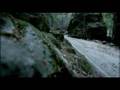 BMW E92 M3 & BMWSauber F1.07 Switch commercial