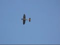 Gee Bee e P-47