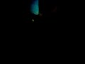 Madrugada navide�a