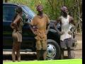 SURVIVOR - HIGHLIGHTS