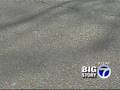 Parolee Escapes From Police Officer
