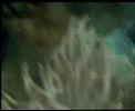 kahitna-ft-dea-mirella-merenda-kasih.html
