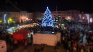 Mohelnici rozzářil vánoční strom