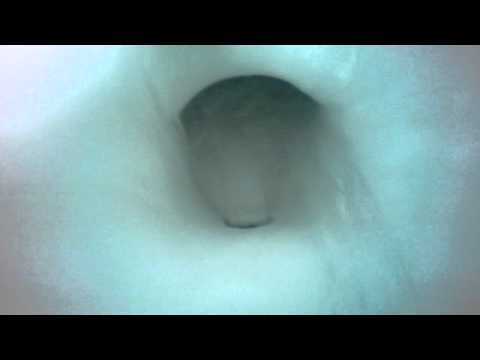 how to unclog a kohler highline toilet