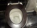 Irish Toilets