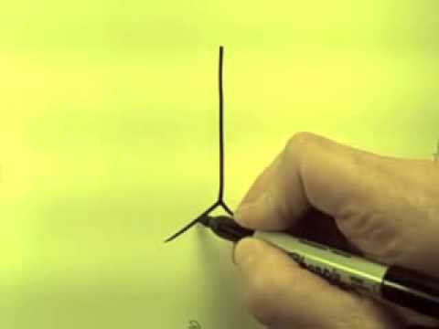 video-linktoworks-How to draw GREAT BUTTS with just FIVE LINES on youtube