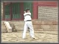 Poomsae Taeguk Yook Jang