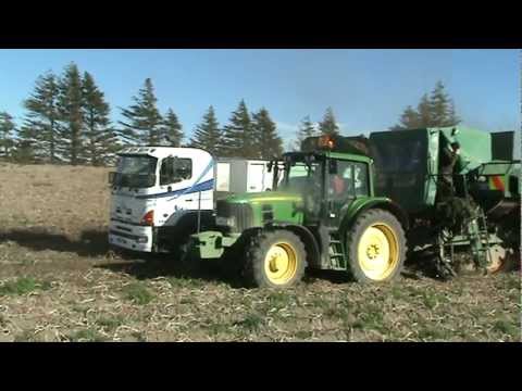 how to harvest potatoes nz