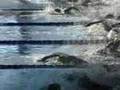AQUATHLON DE VITTEL 2 EME MANCHE BENJAMINES MINIMES