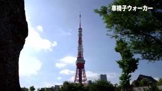 車椅子で行く 東京タワー (Tokyo Tower)