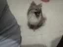 Chilli - a chata - 1� parte