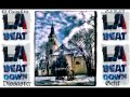 LA Beat Dissaster - Lanžhot Město kde žijeme - Šaman,€l Charakter,Dissaster,Gefix