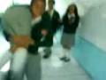 videos de Zuleima ventilador