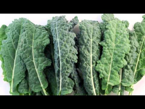how to harvest lacinato kale