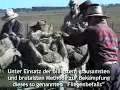 Lady Gaga - Paparazzi + Pink (Animal Rights) Remix
