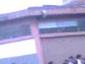 videos de La 