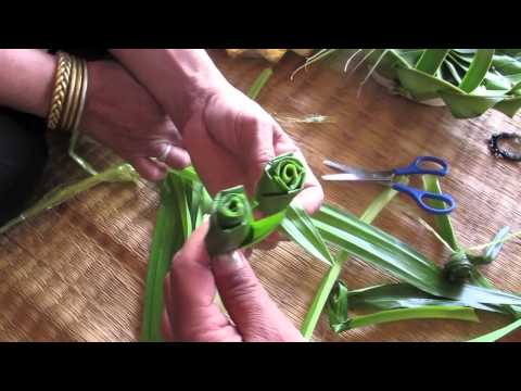 Pandanus Rose