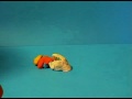 claymation made on a stop motion animation workshop at kulturum in Hammenhög, arranged by garageprojektet and thales film.