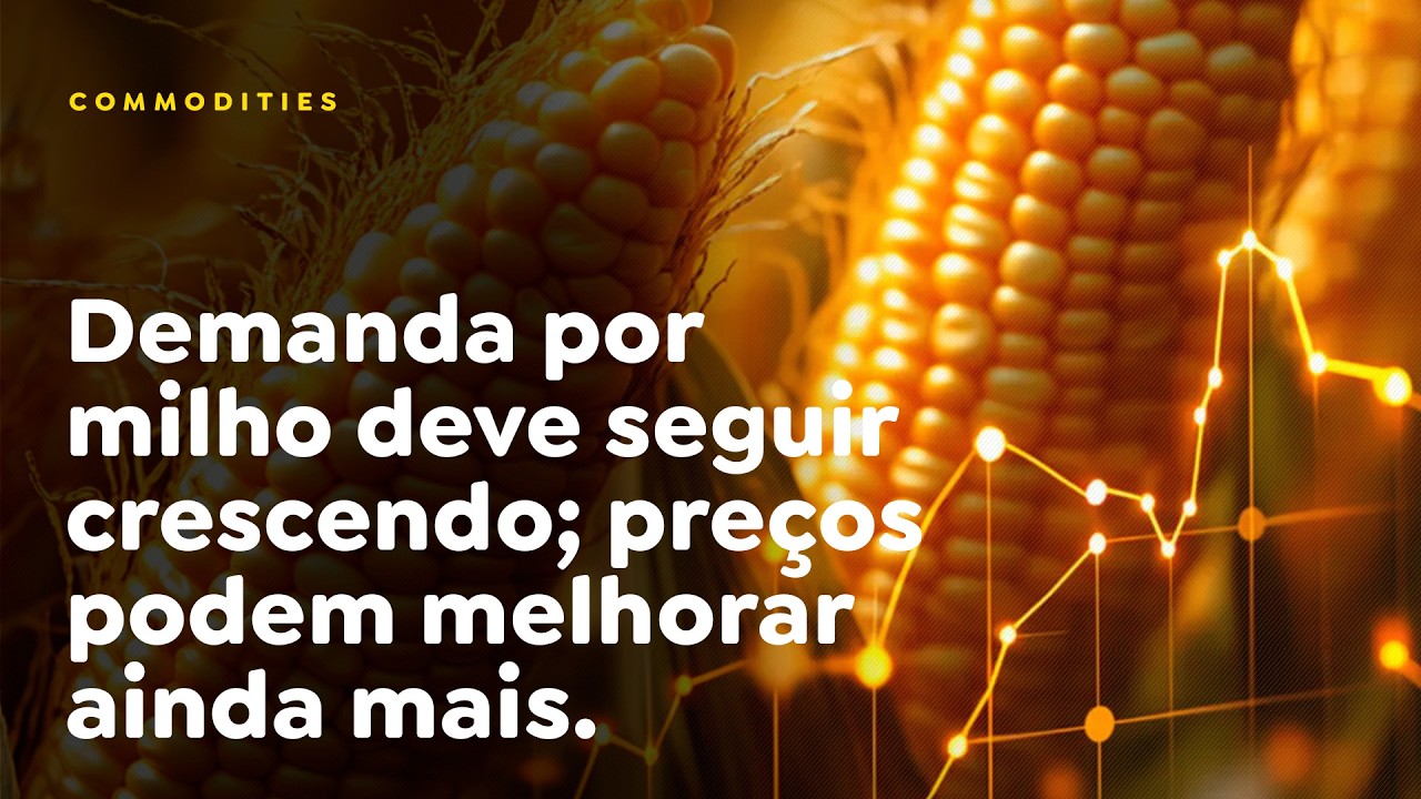 Demanda por milho deve seguir crescendo; preços podem melhorar ainda mais.