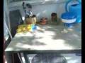 videos de magia
