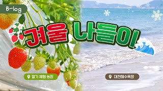 B-log📌ㅣ미녀는 딸기를 좋아해~