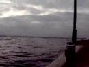 Pesca 2 los calcinados Pesca 2 los calcinados