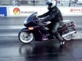 Hayabusa 08 vs. zx11
