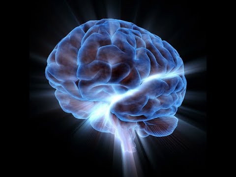 Иллюстрация / Нейропластичность мозга - Как изменить мозг