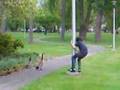 Tabor Terrorizes Nature