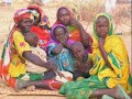 Save Darfur. Stop Genocide NOW.