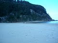 Carrea en la playa