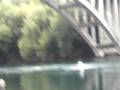 IMGP0436