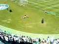 Torcida Do Verdão