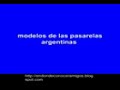 modelos de las pasarelas argentinas-
