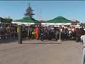 Drag RACE Horgos 600cc
