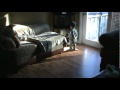 keegans edaville light saber one yr later