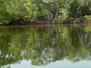Naples Water Tours