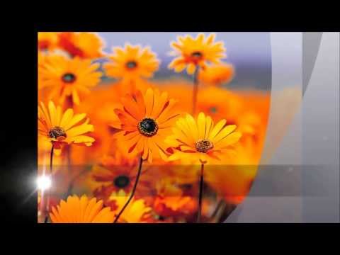 yaohushua - Paz amados irmãos em Yaohushua!! Sabe,quando as vezes sentimos que nossa oração não foi ouvida, quando não conseguimos expressar em palavras e o que sai é ap...