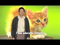 Adorable Kittens (Music Video)
