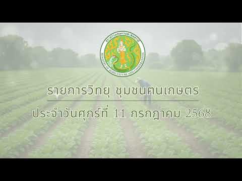 รายการวิทยุชุมชนฅนเกษตร ประจำวันที่ 11 กรกฎาคม 2568