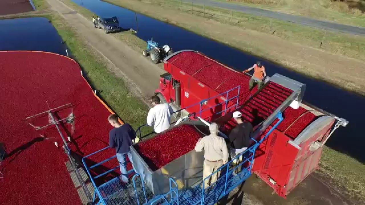 Full Truck Heading to Ocean Spray