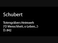 Schubert D 842 Totengräbers Heimweh ('O Menschheit, o Leben...').wmv